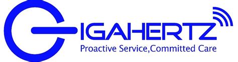 GIGAHERTZ COMPUTER SYSTEM .